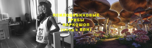 мяу мяу мука Белокуриха