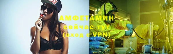 индика Беломорск