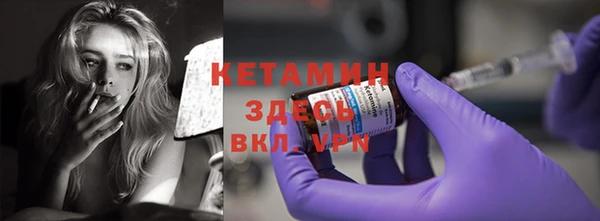 индика Беломорск
