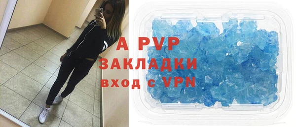индика Беломорск