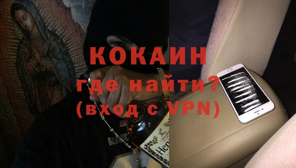 мяу мяу мука Белокуриха