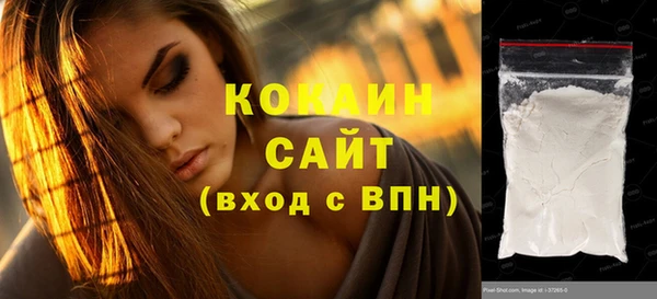 индика Беломорск