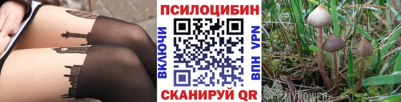 Псилоцибиновые грибы Magic Shrooms  Билибино 